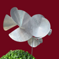 Garden Sculpture - Decibel